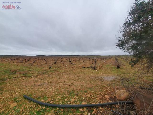 Terreno en Venta en Torralba de Calatrava