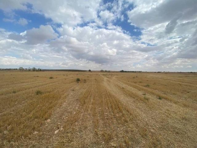 Terreno en Venta en Torralba de Calatrava