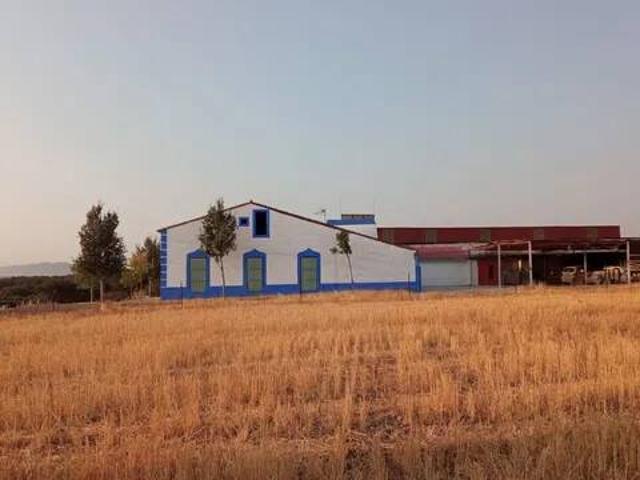 Terreno en Venta en Torre de Miguel Sesmero