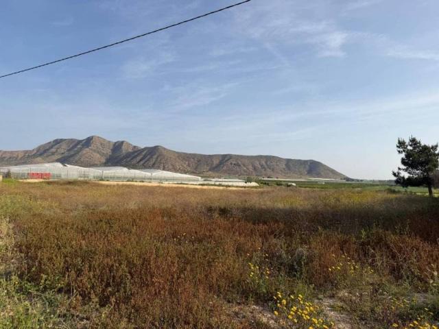 Terreno en Venta en Torre Pacheco