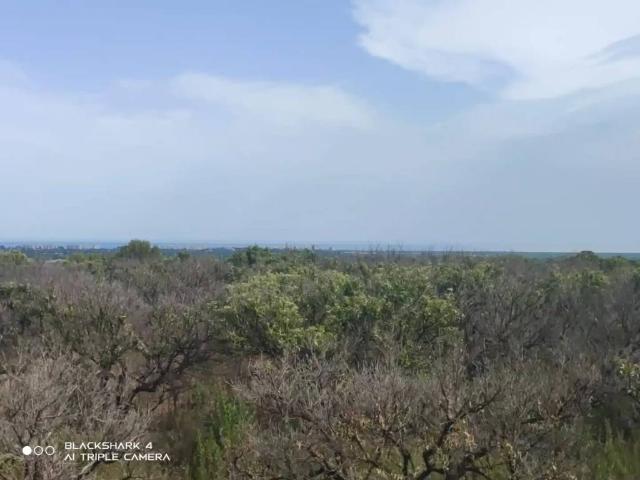 Terreno en Venta en Torreblanca