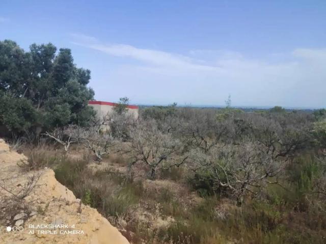 Terreno en Venta en Torreblanca