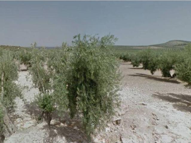 Terreno en Venta en Torredonjimeno