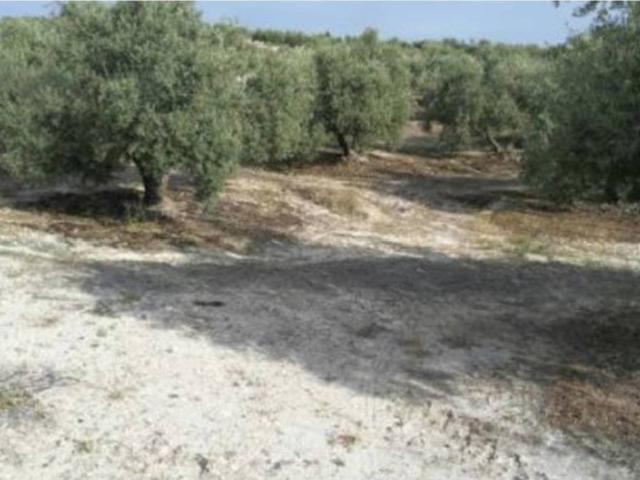 Terreno en Venta en Torredelcampo