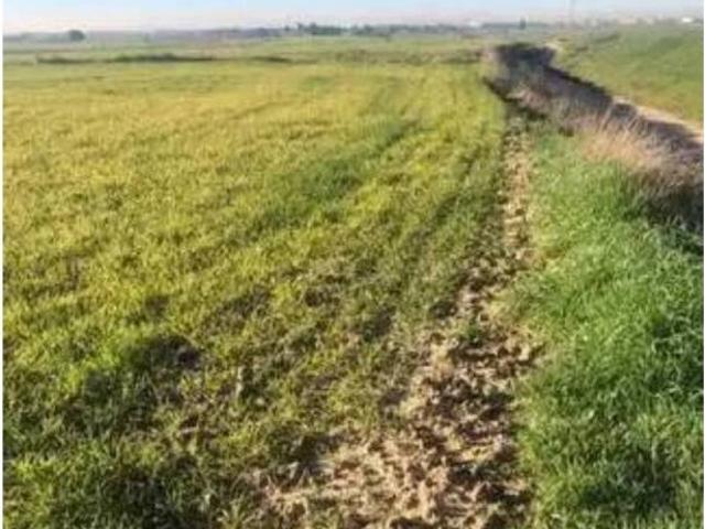 Terreno en Venta en Torrejón de Velasco