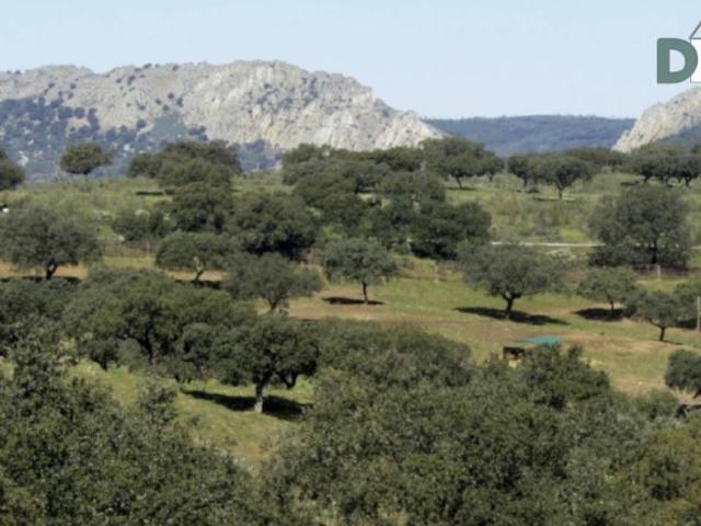 Terreno en Venta en Torrejón El Rubio