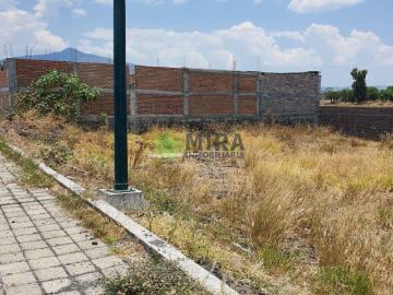 TERRENO EN VENTA EN TORREON NUEVO POR SALIDA SALAMANCA, Torreón Nuevo