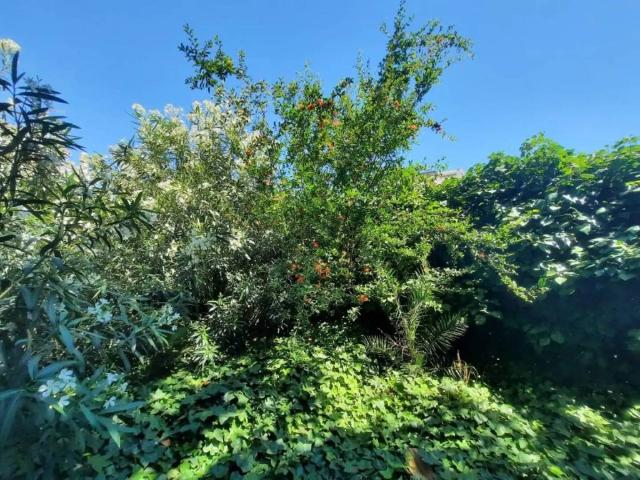 Terreno en Venta en Torremolinos