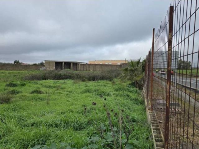 Terreno en Venta en Torremayor