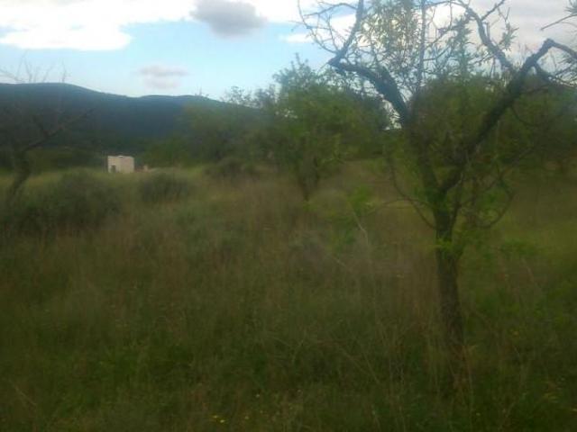 Terreno en venta en Torremanzanas, Comunidad valenciana