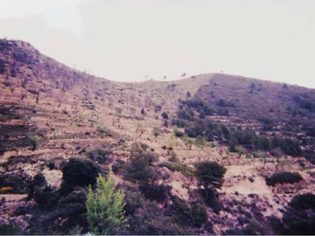Terreno en Venta en Torremanzanas La Torre de les Maçanes