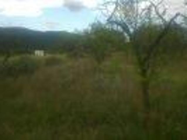 Terreno en venta en Torremanzanas, Torremanzanas