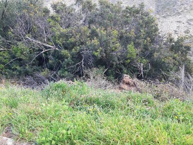 Terreno en venta en Torrent