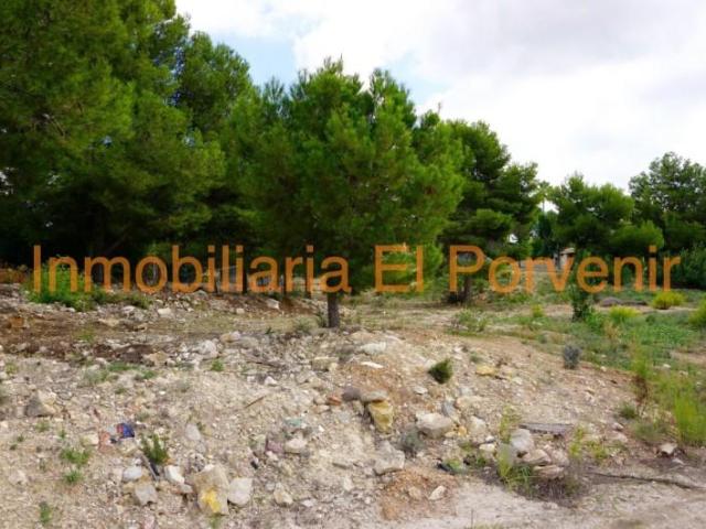 Terreno en venta en Torrent, El Vedat