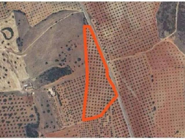 Terreno en Venta en Torrenueva