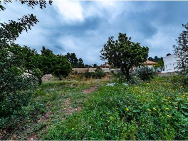 Terreno en Venta en Torres Torres