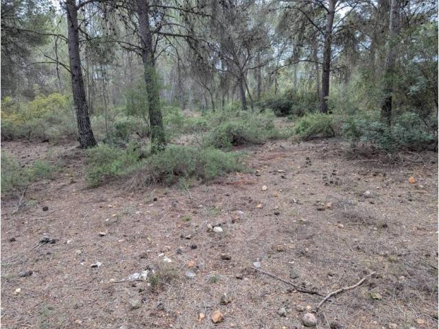 Terreno en Venta en Torres Torres