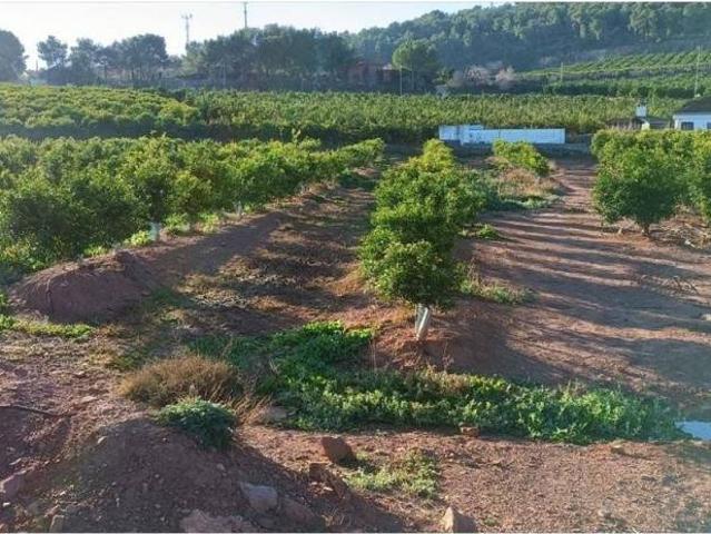 Terreno en Venta en Torres Torres