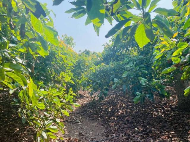 Terreno en Venta en Torrox