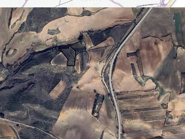 Terreno en Venta en Tórtola de Henares