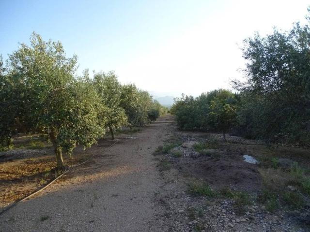 Terreno en Venta en Tortosa