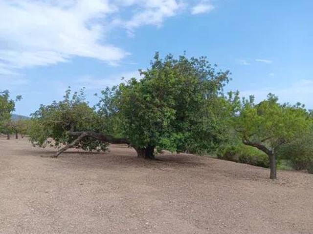 Terreno en Venta en Tortosa