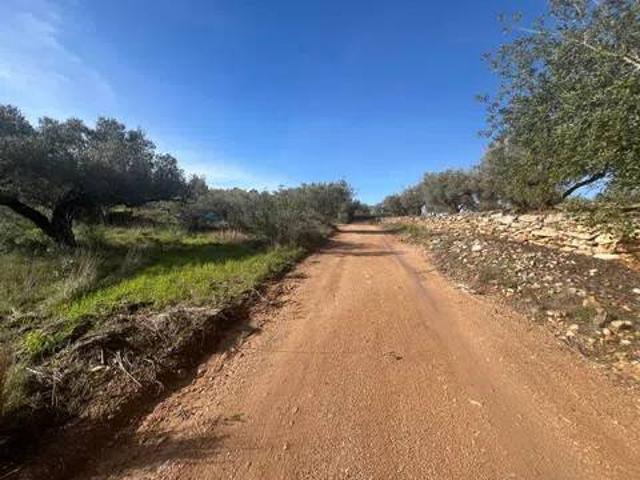 Terreno en Venta en Tortosa