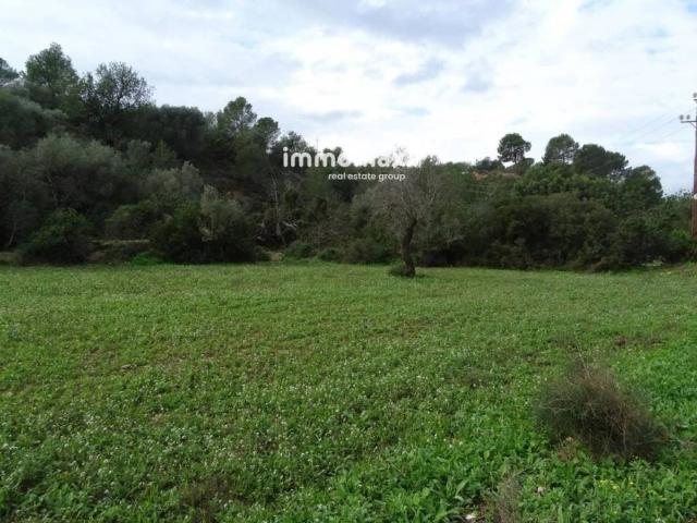 Terreno en Venta en Tortosa