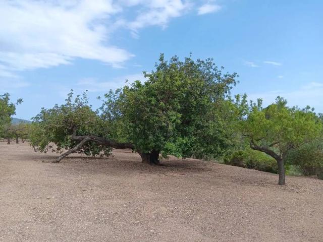 Terreno en Venta en Tortosa