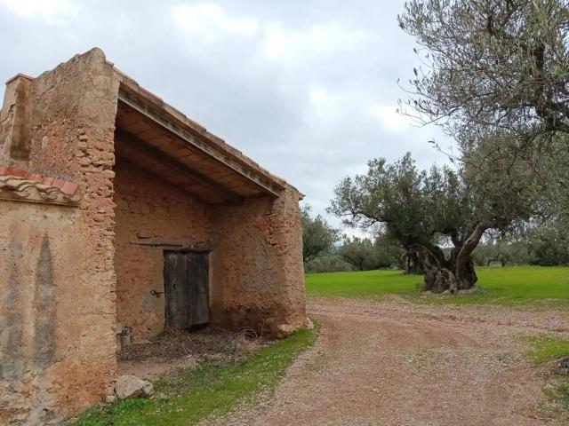 Terreno en Venta en Tortosa