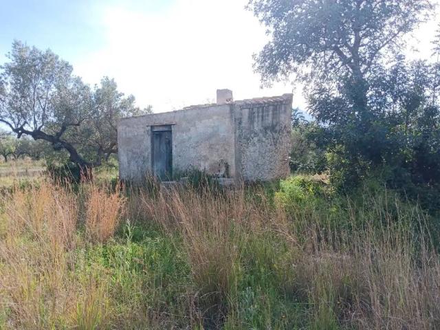 Terreno en Venta en Tortosa