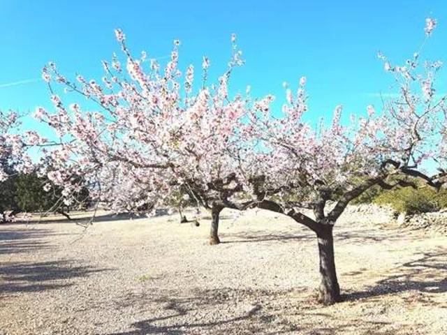 Terreno en Venta en Tortosa