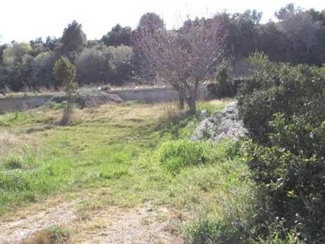 Terreno en Venta en Tortosa