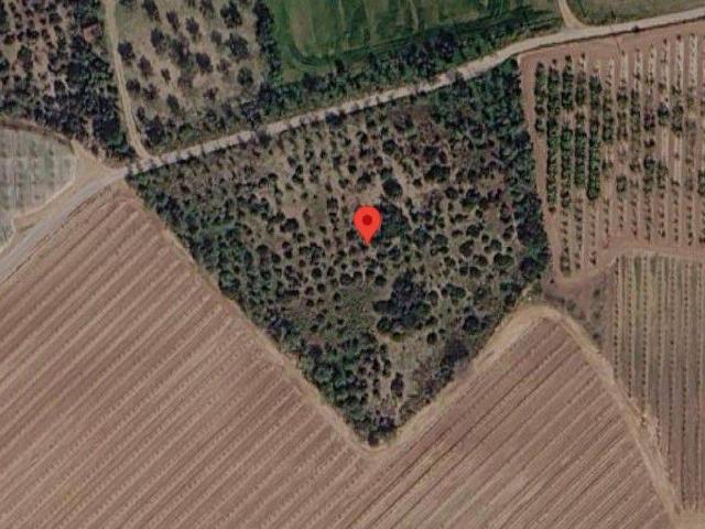 Terreno en Venta en Tortosa