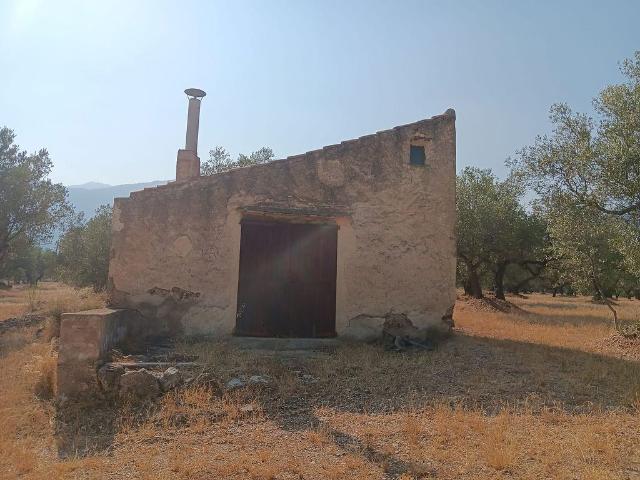 Terreno en venta en Tortosa, de 13.636 m² por 80.000