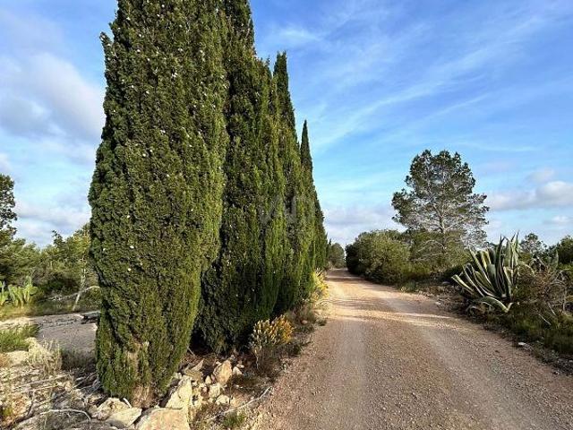 Terreno en venta en Tortosa, de 14.967 m² por 85.000
