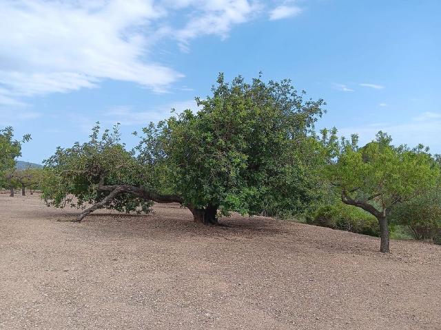 Terreno en venta en calle Del Pou de Jesús, Tortosa, de 7.995 m² por 15.000