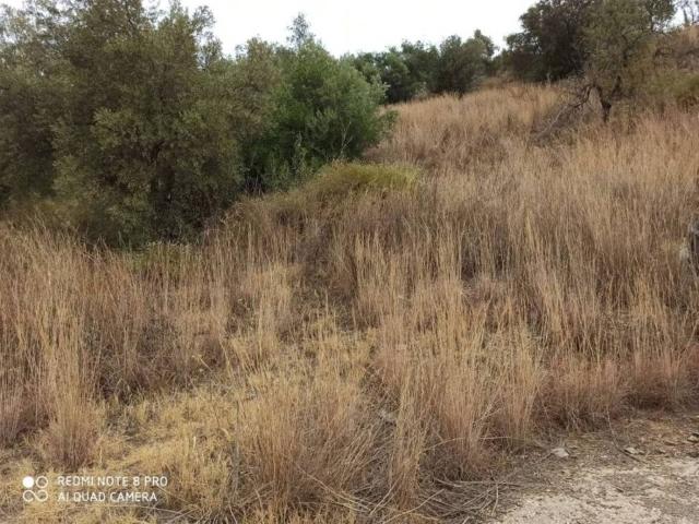 Terreno en Venta en Totalán