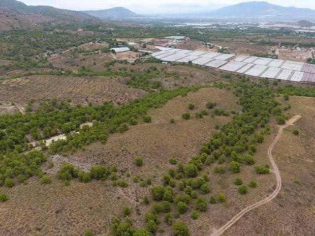 Terreno en Venta en Totana