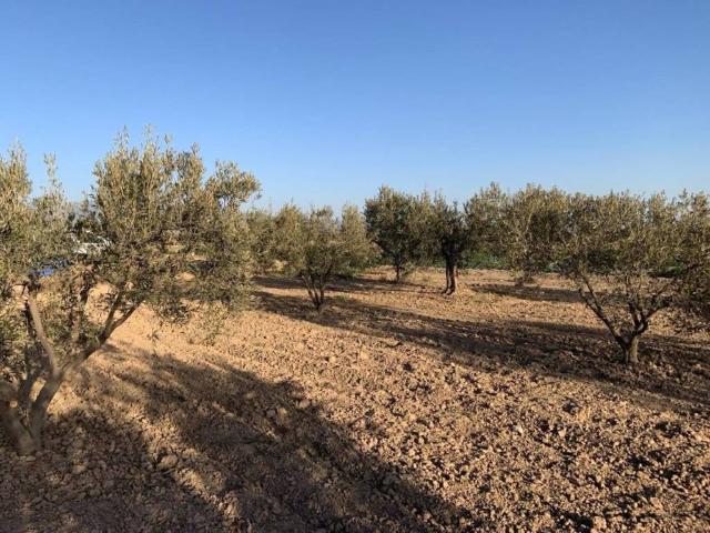 Terreno en Venta en Totana