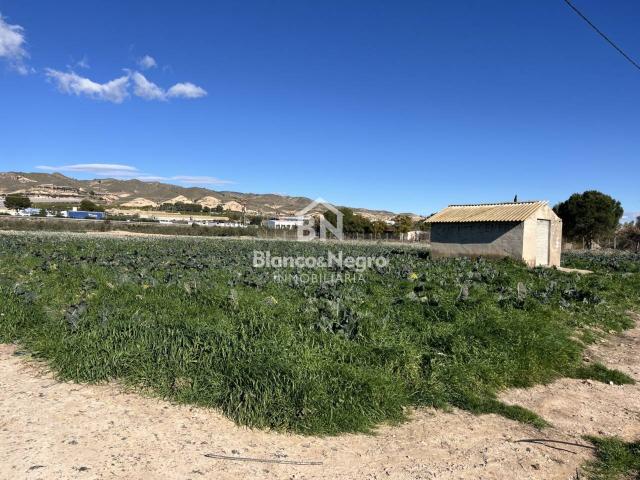 Terreno en venta en Totana