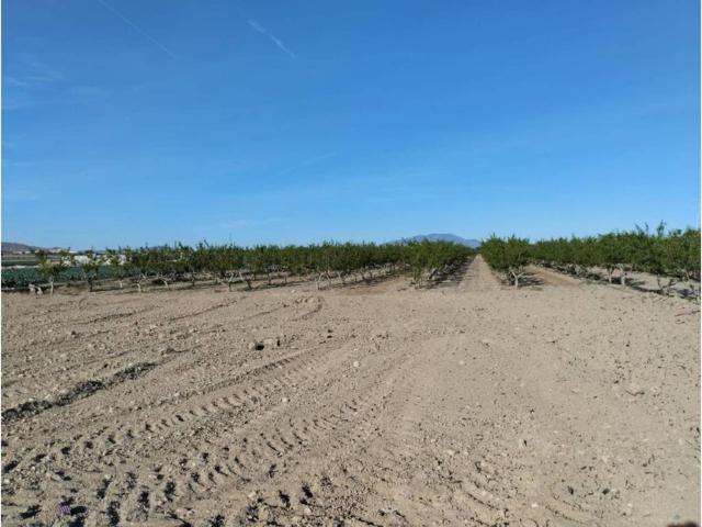 Terreno en Venta en Totana