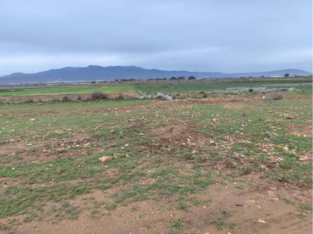 Terreno en Venta en Totana
