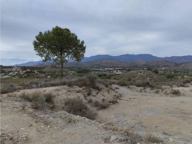 Terreno en Venta en Totana