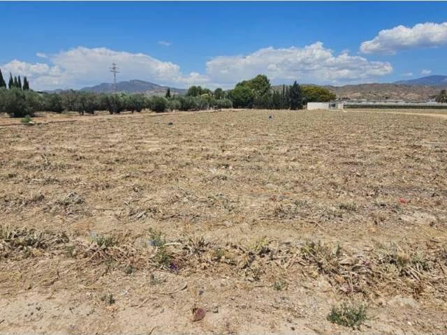 Terreno en Venta en Totana
