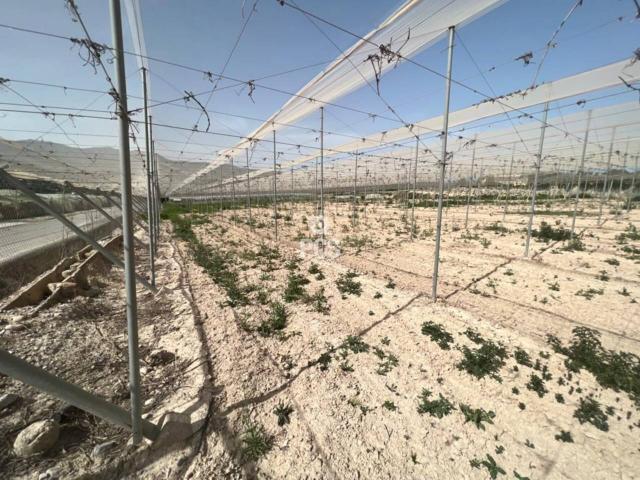 Terreno en venta en Totana