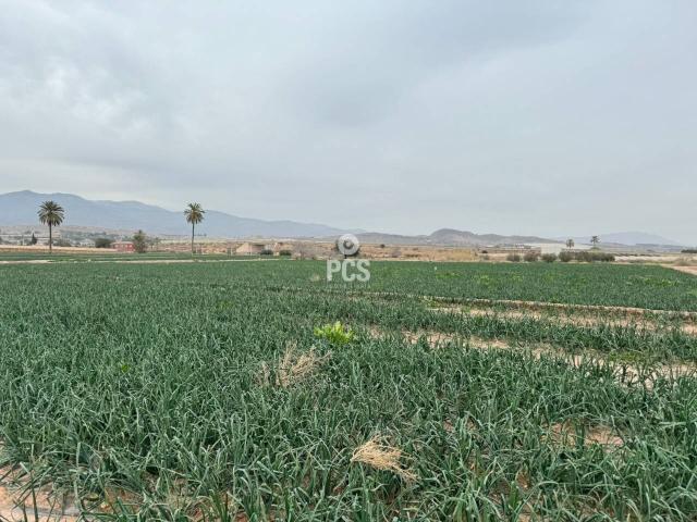 Terreno en venta en Totana