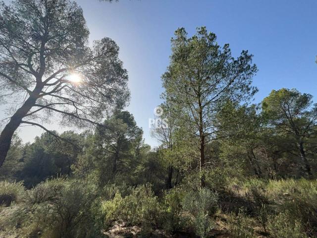 ¡Terreno en venta en Totana!