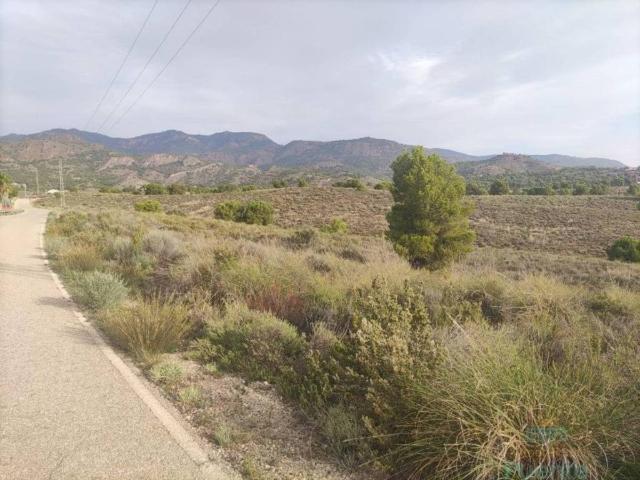 Terreno en Venta en Totana