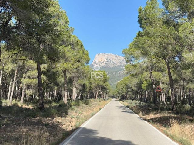 Terreno en venta en Totana